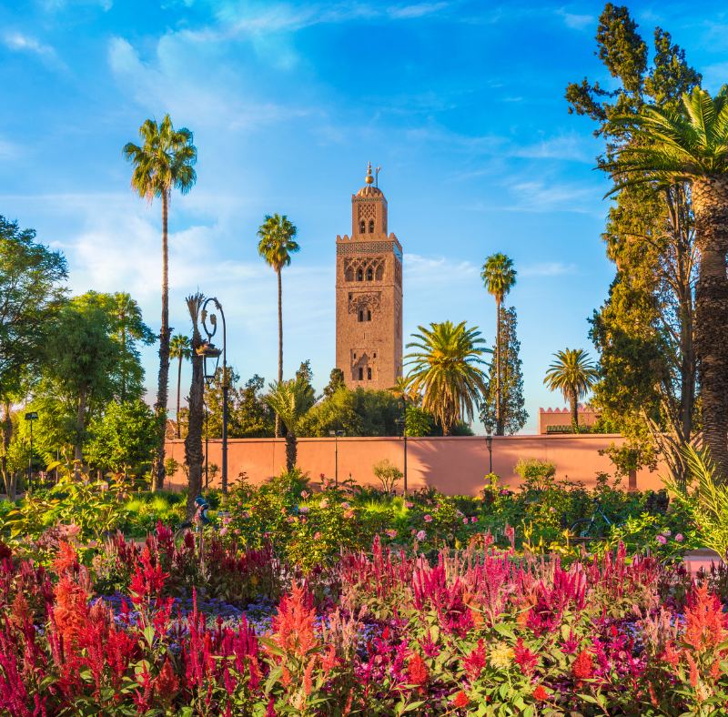 mosquée koutoubia marrakech maroc en premier plan un beau jardin