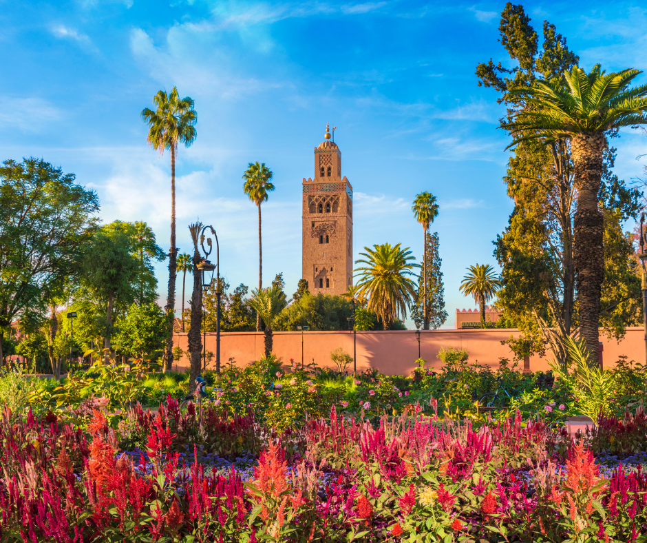 10 bonnes raisons de venir à Marrakech